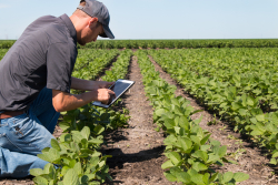Farm Accounting